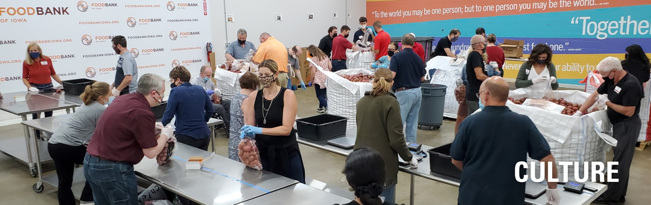 CIRAS Staff volunteering at a food bank, sorting potatoes.