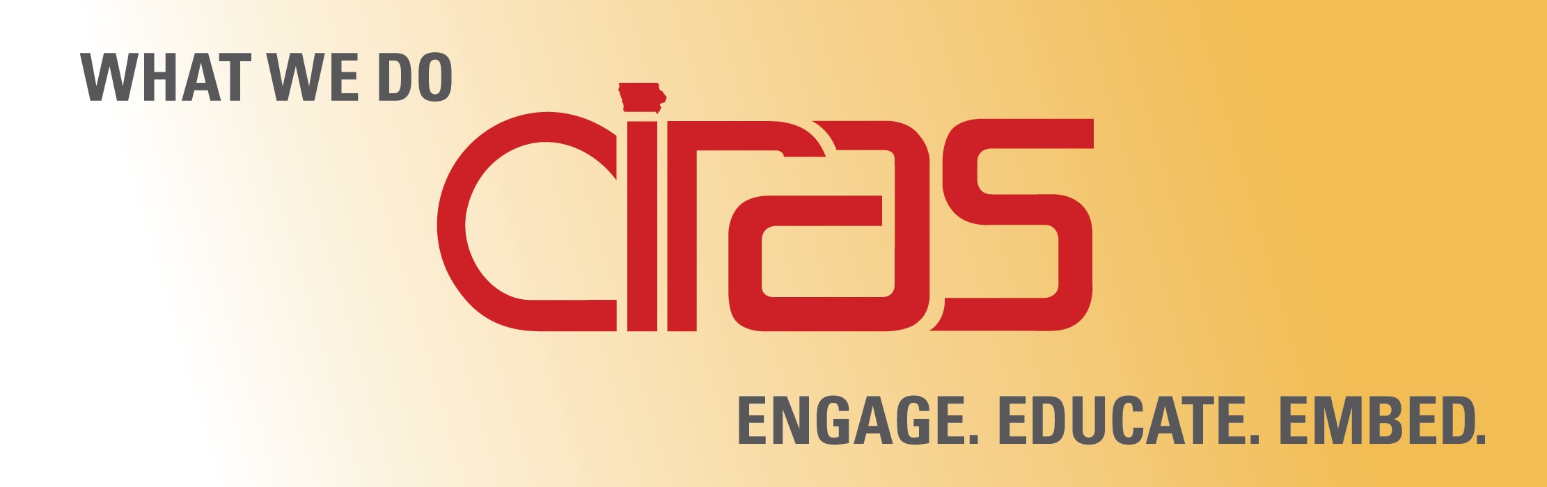 What we do at CIRAS: Engage, Educate, Embed.